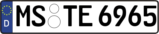 MS-TE6965