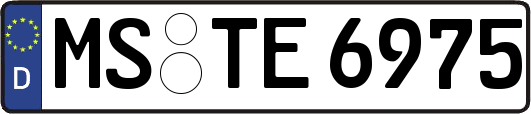 MS-TE6975