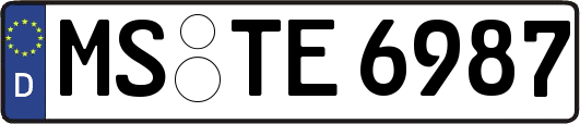 MS-TE6987