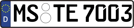 MS-TE7003