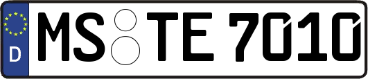MS-TE7010