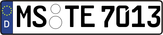 MS-TE7013