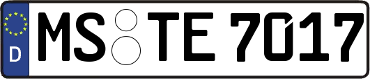 MS-TE7017