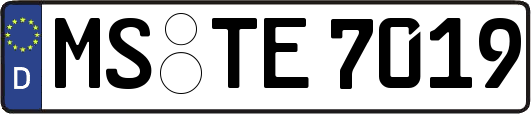 MS-TE7019