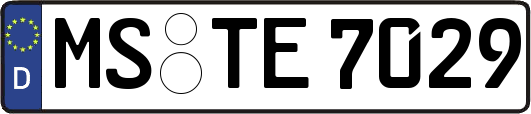 MS-TE7029