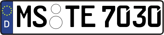 MS-TE7030
