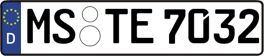 MS-TE7032