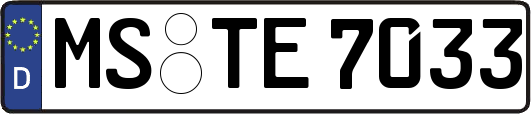 MS-TE7033