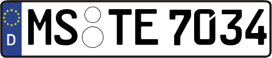 MS-TE7034