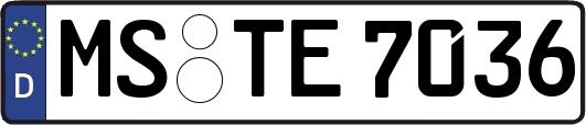 MS-TE7036