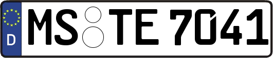 MS-TE7041