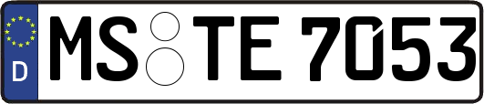MS-TE7053