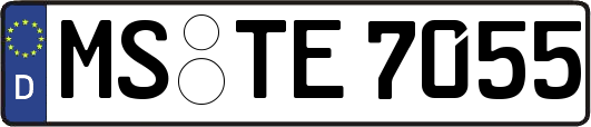 MS-TE7055