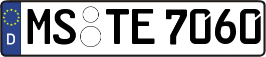 MS-TE7060