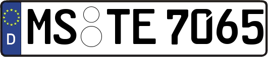 MS-TE7065
