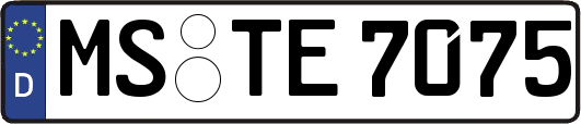 MS-TE7075
