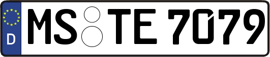 MS-TE7079