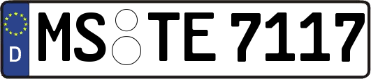 MS-TE7117
