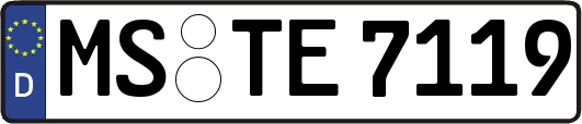 MS-TE7119