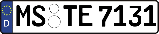 MS-TE7131