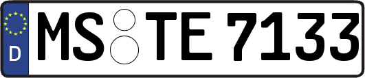 MS-TE7133