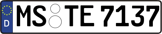 MS-TE7137