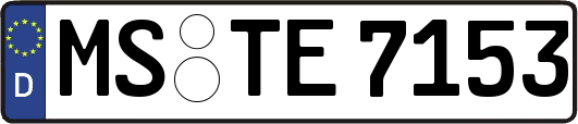 MS-TE7153