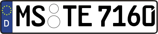 MS-TE7160