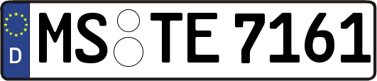 MS-TE7161