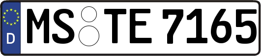 MS-TE7165