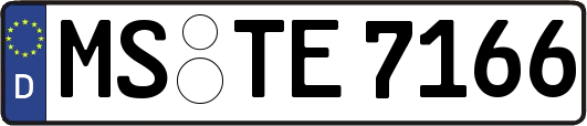 MS-TE7166