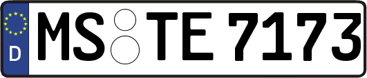 MS-TE7173