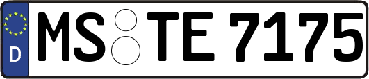 MS-TE7175