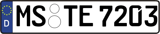 MS-TE7203