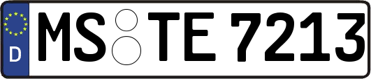 MS-TE7213