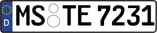 MS-TE7231