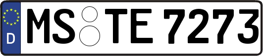 MS-TE7273
