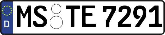 MS-TE7291