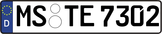 MS-TE7302