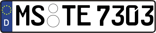 MS-TE7303