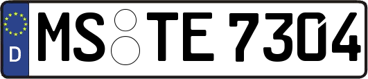 MS-TE7304