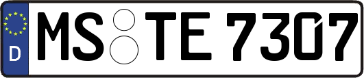 MS-TE7307