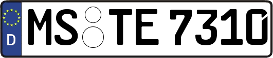 MS-TE7310