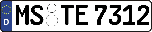 MS-TE7312