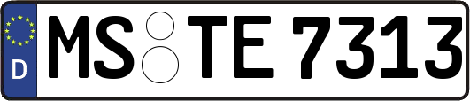 MS-TE7313