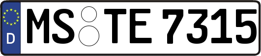 MS-TE7315