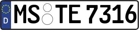 MS-TE7316