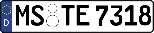 MS-TE7318