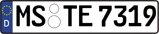 MS-TE7319