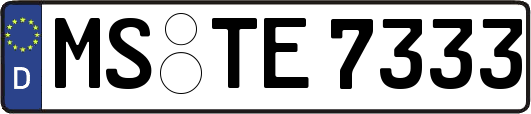 MS-TE7333